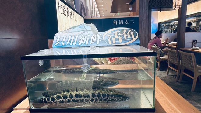 爆改太二酸菜鱼从涨价